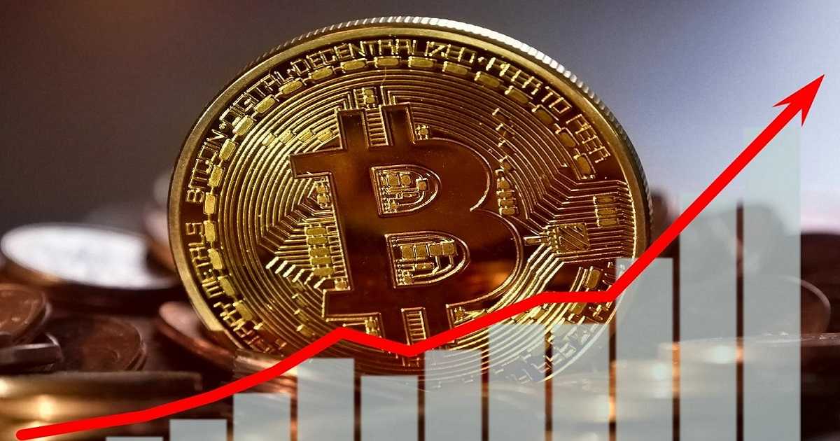 bitcoin dmarge rich