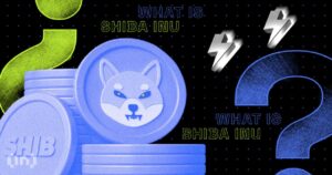 shiba inu wallet whatis 850x478 1 1