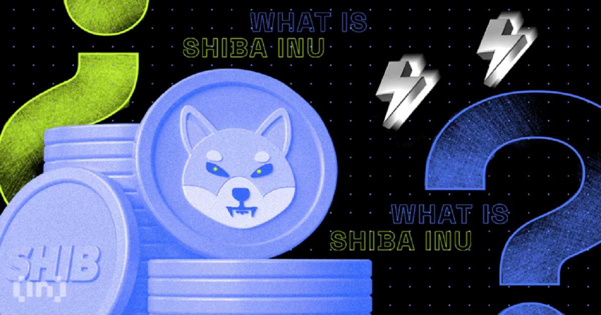 shiba inu wallet whatis 850x478 1 1