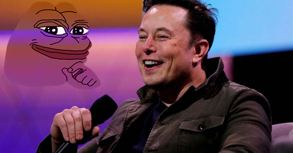elon musk tweet about pepe coin