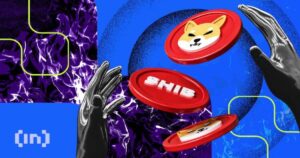 shiba inu burn rate cover 1 850x478.jpg.optimal