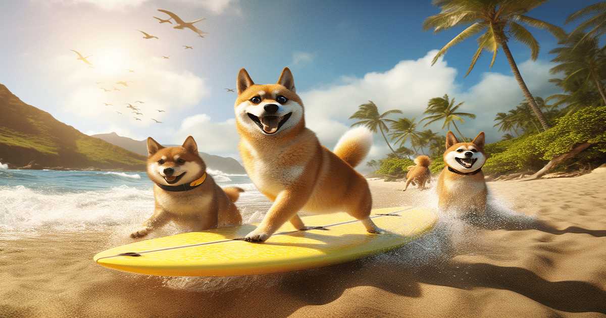 SHIB 4