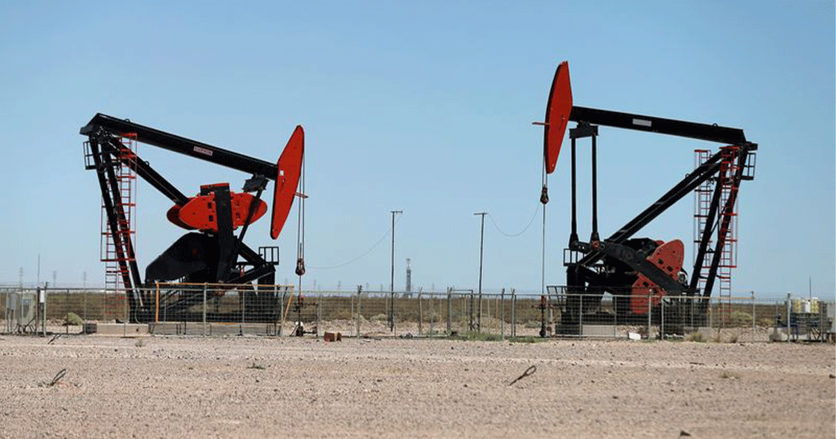 Oil