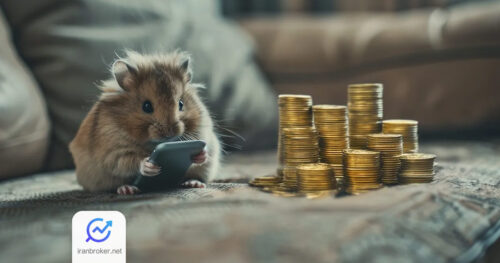 hamster 5