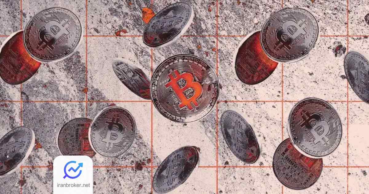 btc 8
