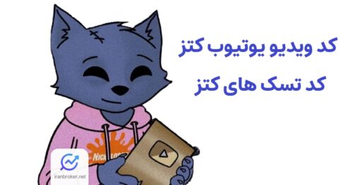 Cat video code 5