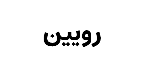 صندوق بخشی رویین