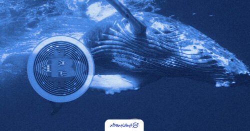 btc whales 5