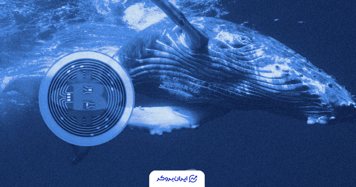 btc whales 5