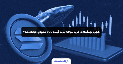 sol whales