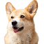 27881
