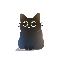 28894