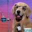 29680