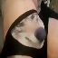 29730