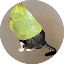 30088