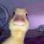 30439