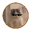 32044