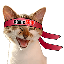 32488