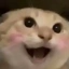 38679